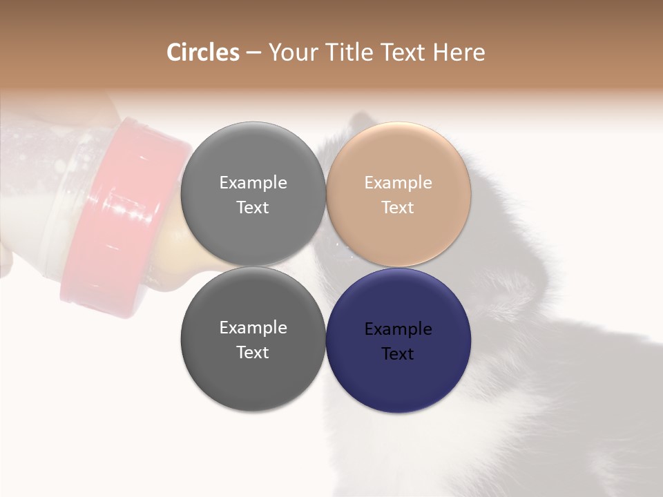 Food Milk Closeup PowerPoint Template