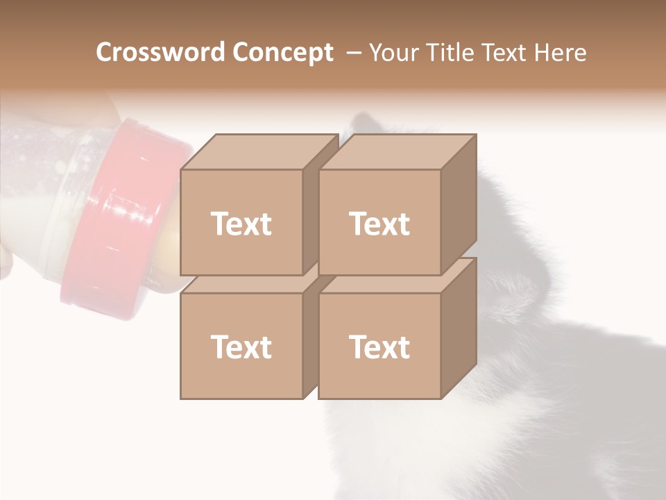 Food Milk Closeup PowerPoint Template