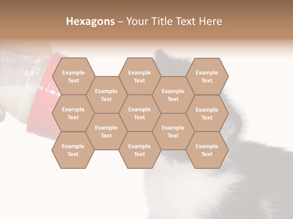 Food Milk Closeup PowerPoint Template