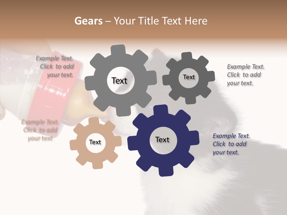 Food Milk Closeup PowerPoint Template