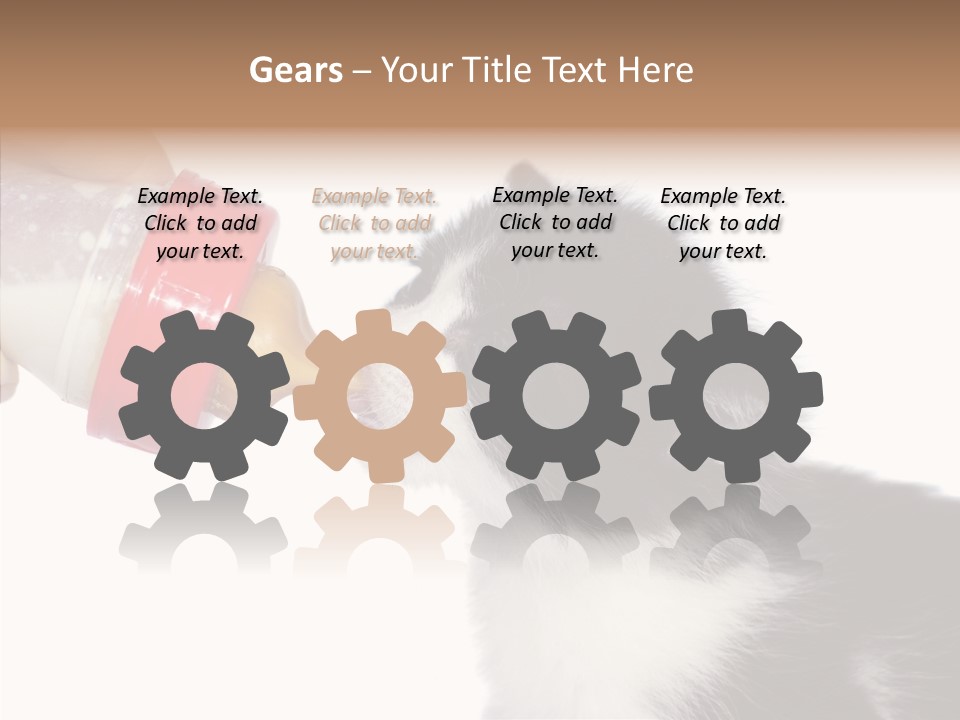 Food Milk Closeup PowerPoint Template