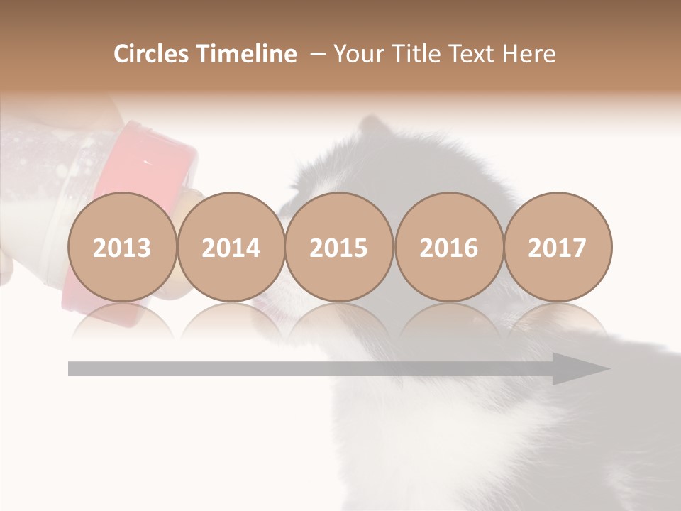 Food Milk Closeup PowerPoint Template