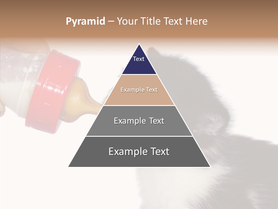 Food Milk Closeup PowerPoint Template