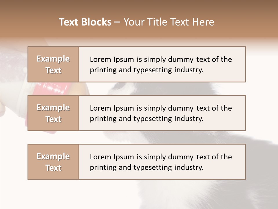Food Milk Closeup PowerPoint Template