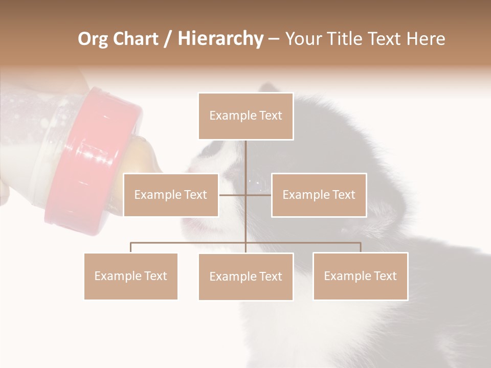 Food Milk Closeup PowerPoint Template