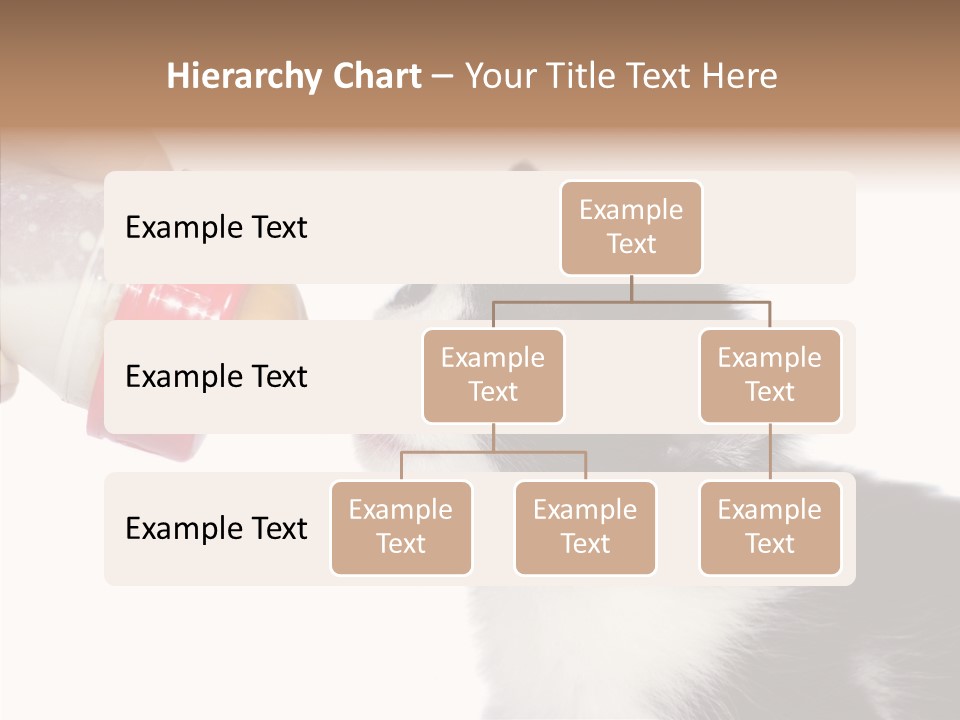 Food Milk Closeup PowerPoint Template