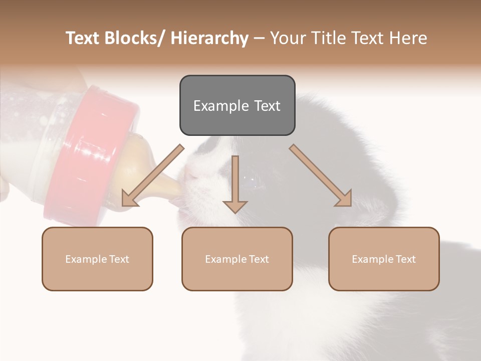 Food Milk Closeup PowerPoint Template