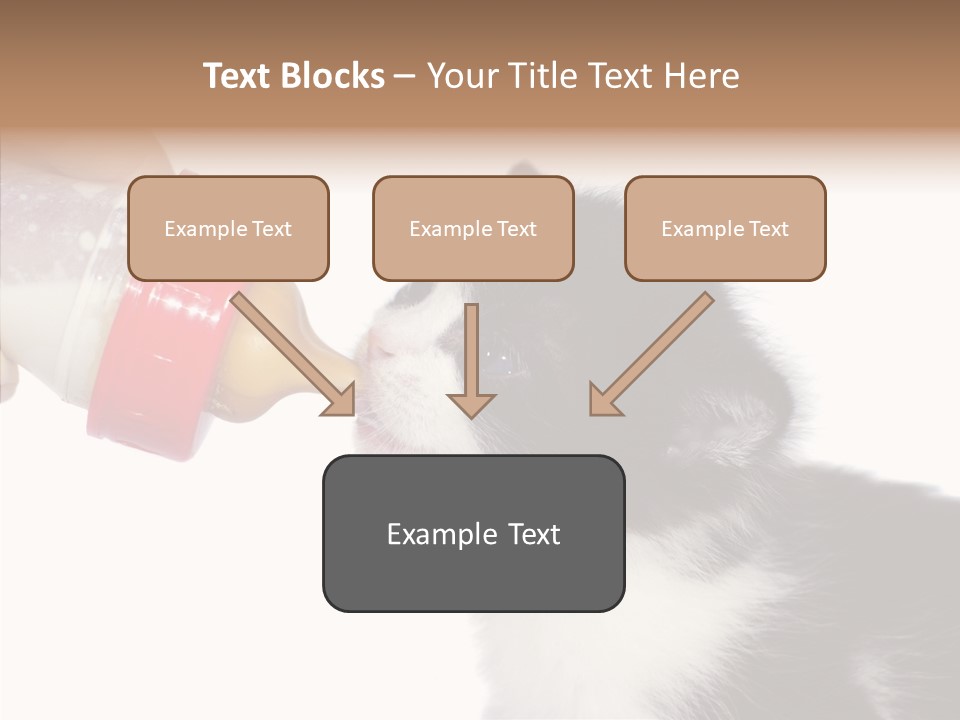 Food Milk Closeup PowerPoint Template