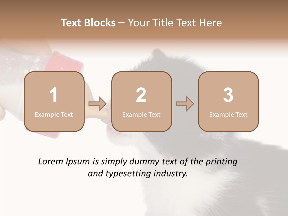 Food Milk Closeup PowerPoint Template