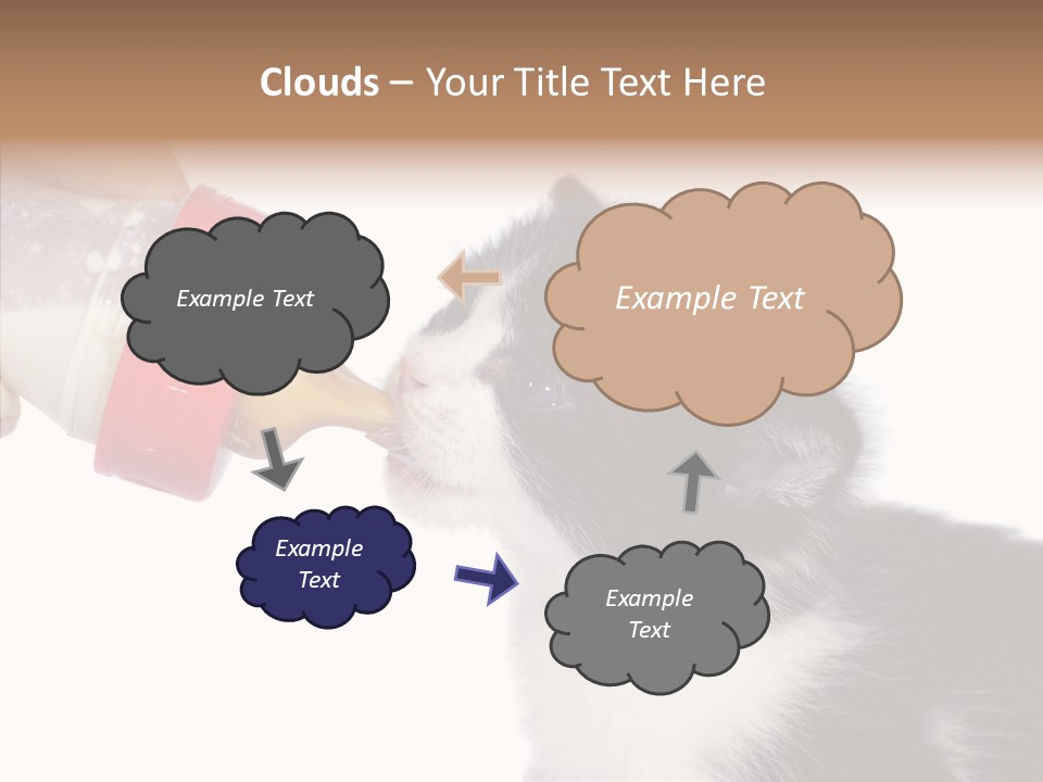 Food Milk Closeup PowerPoint Template