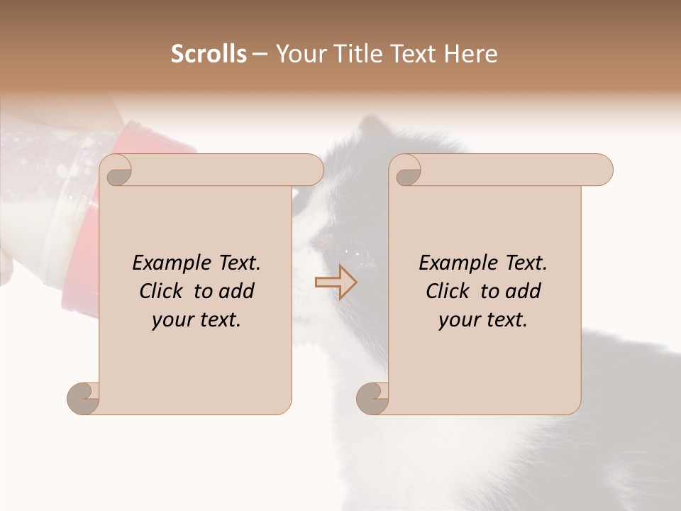 Food Milk Closeup PowerPoint Template