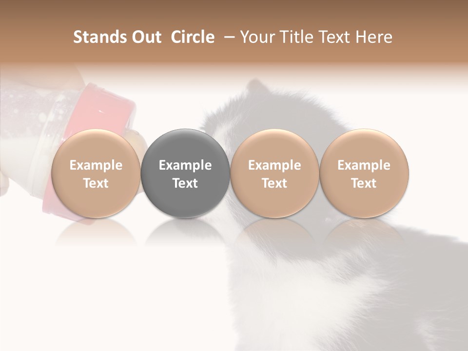 Food Milk Closeup PowerPoint Template