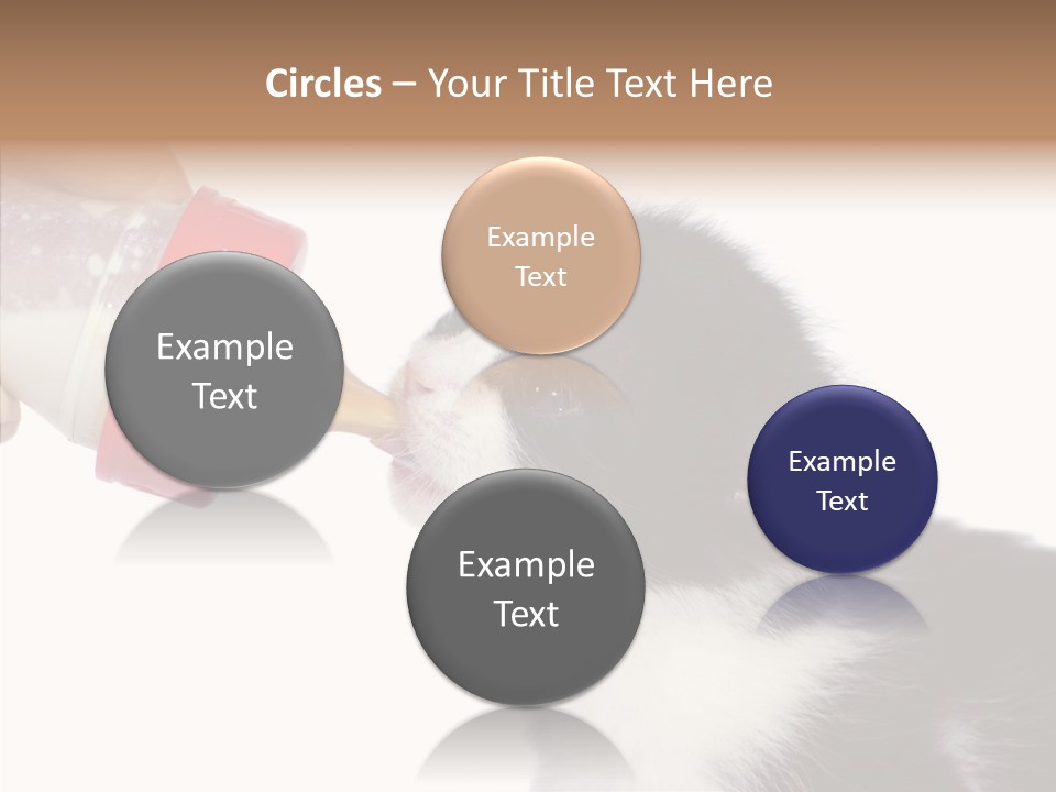 Food Milk Closeup PowerPoint Template