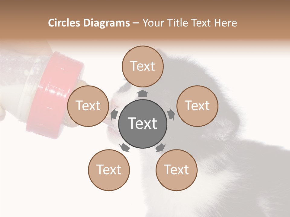 Food Milk Closeup PowerPoint Template