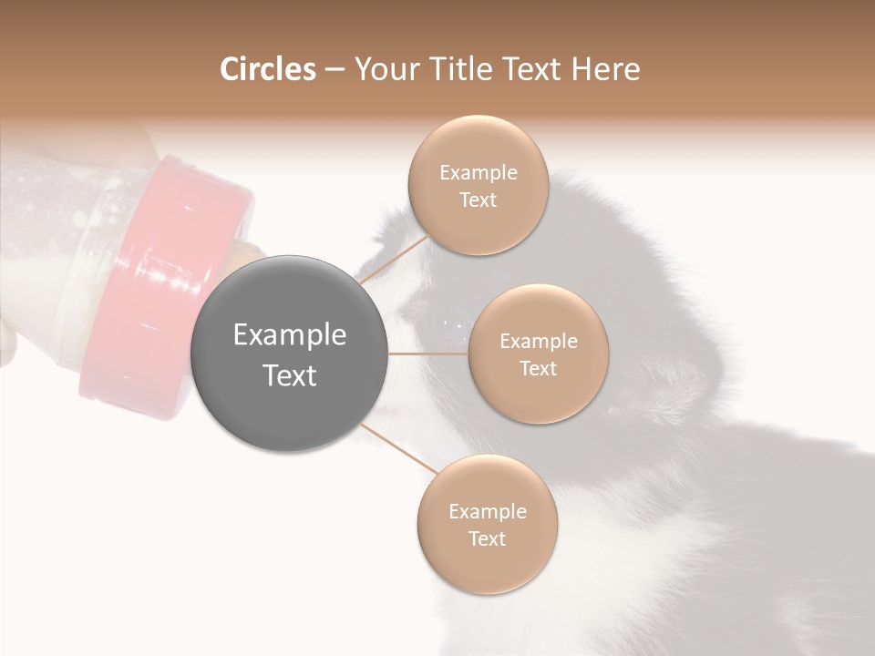 Food Milk Closeup PowerPoint Template