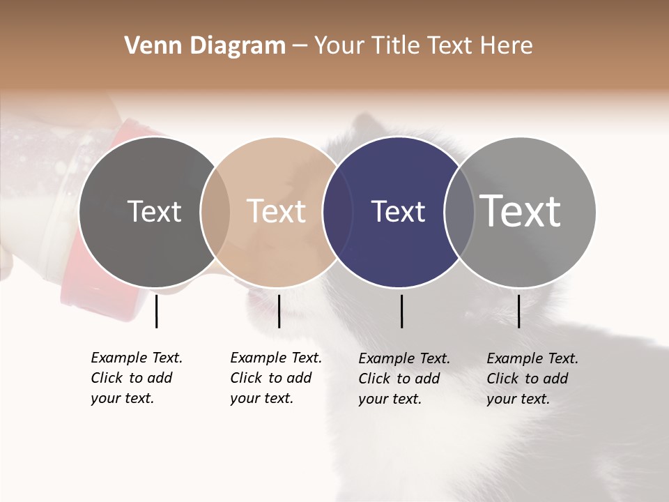 Food Milk Closeup PowerPoint Template