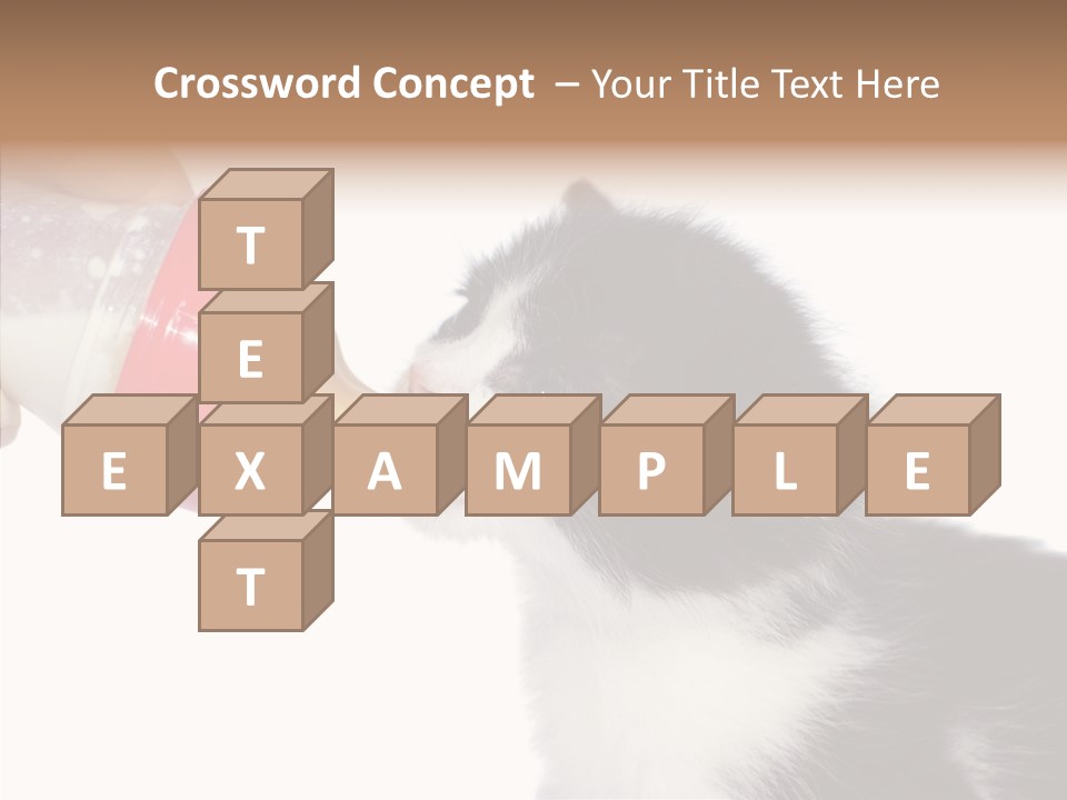 Food Milk Closeup PowerPoint Template