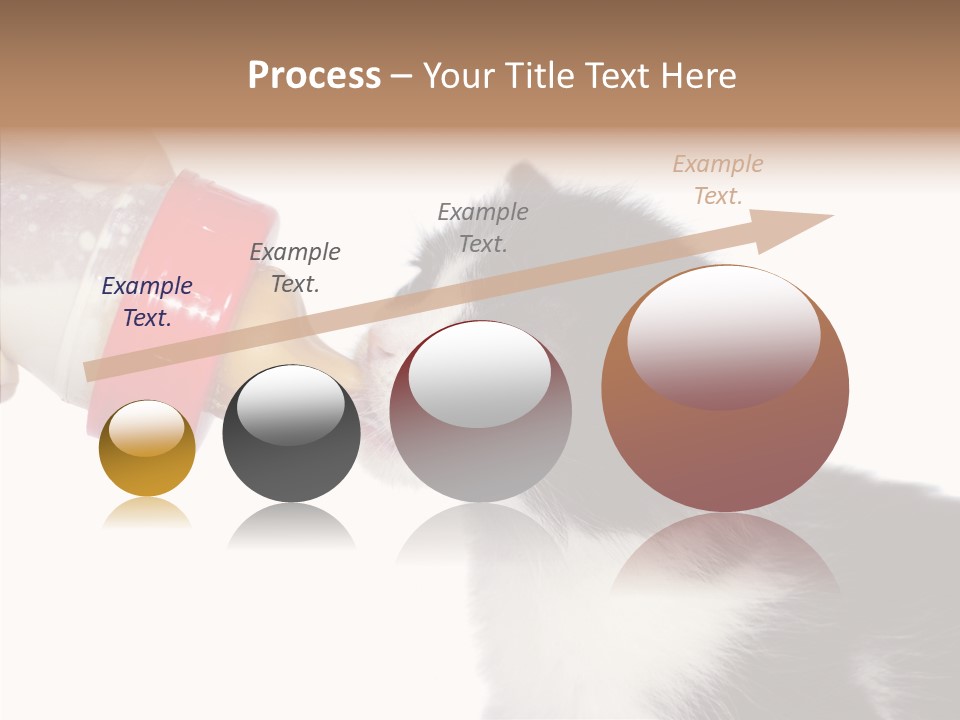 Food Milk Closeup PowerPoint Template