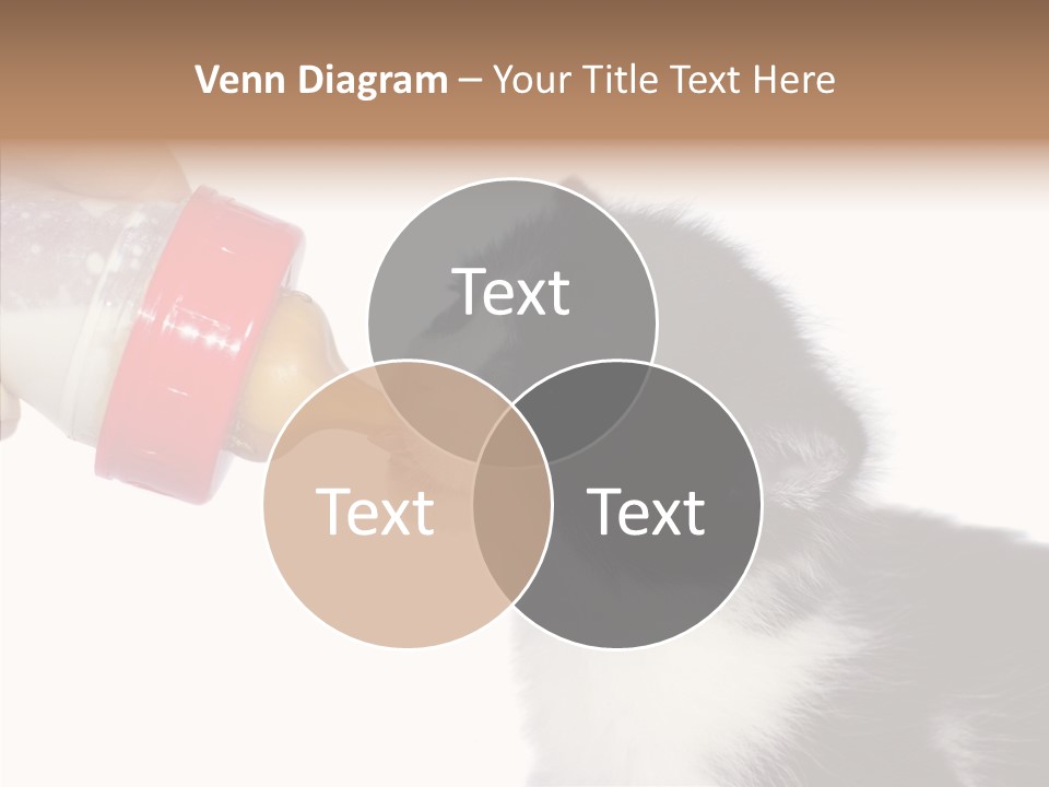 Food Milk Closeup PowerPoint Template