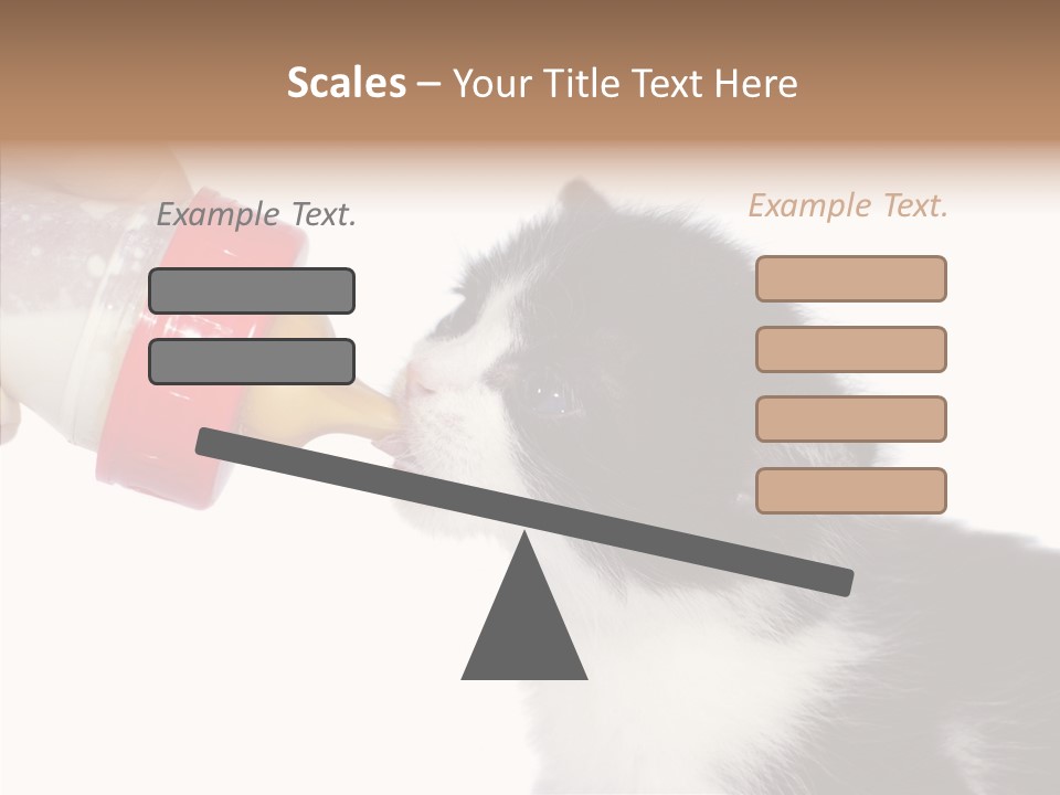 Food Milk Closeup PowerPoint Template