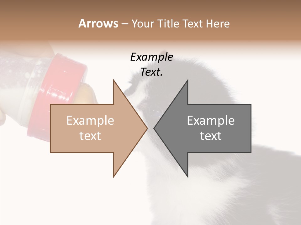 Food Milk Closeup PowerPoint Template