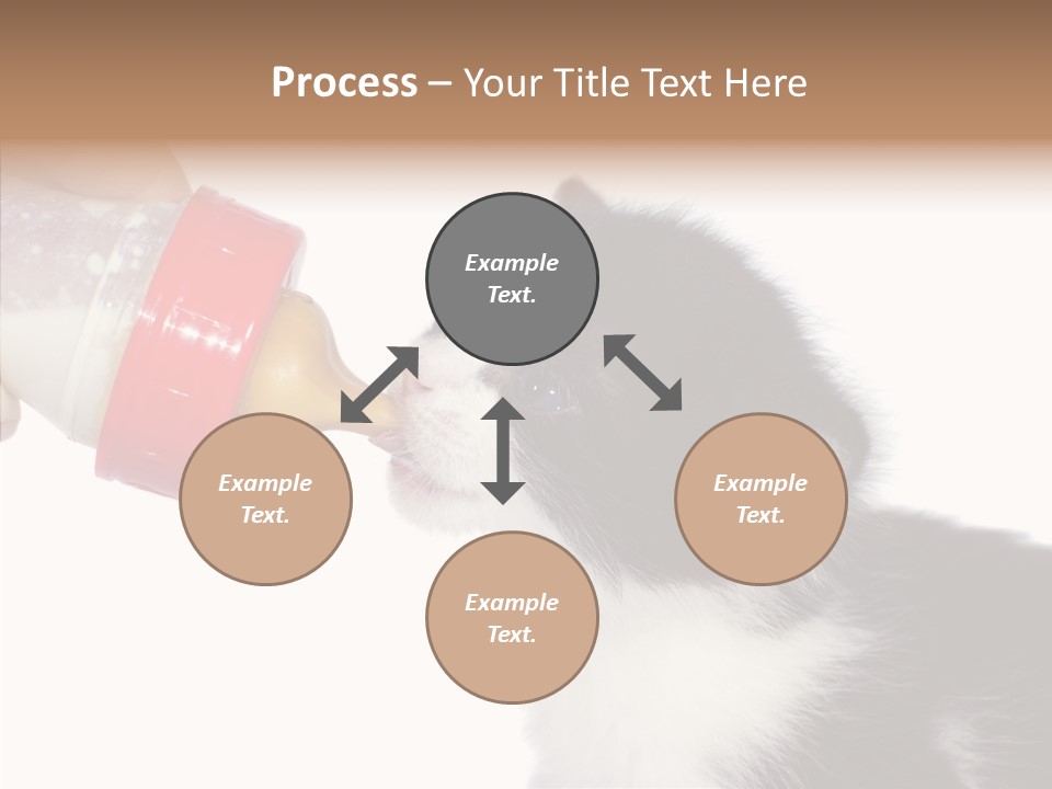 Food Milk Closeup PowerPoint Template