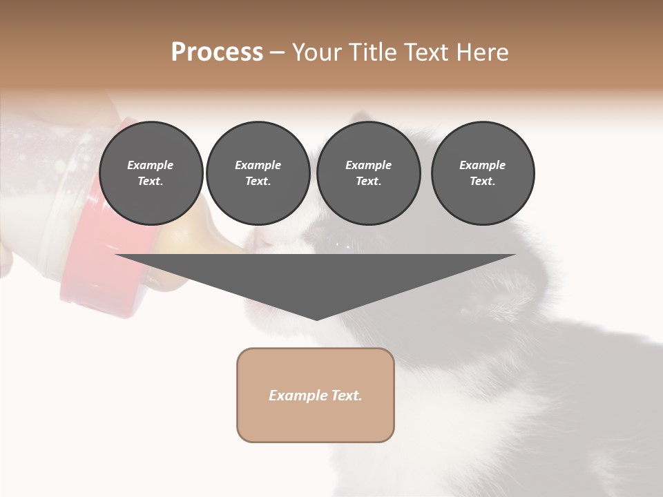 Food Milk Closeup PowerPoint Template