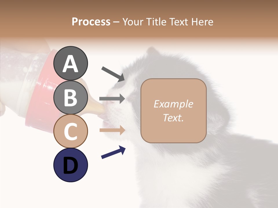 Food Milk Closeup PowerPoint Template