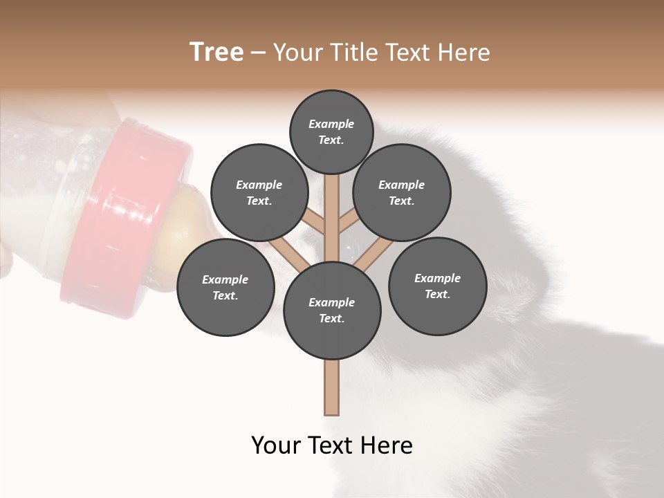 Food Milk Closeup PowerPoint Template