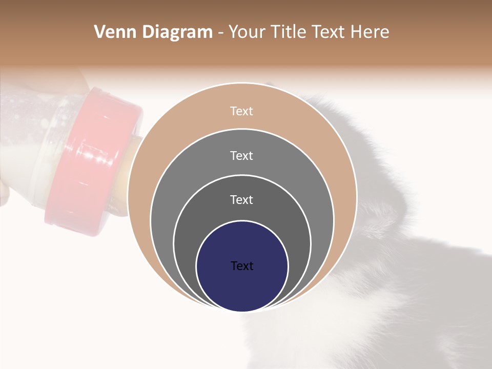 Food Milk Closeup PowerPoint Template