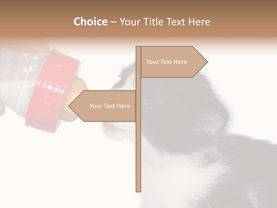 Food Milk Closeup PowerPoint Template