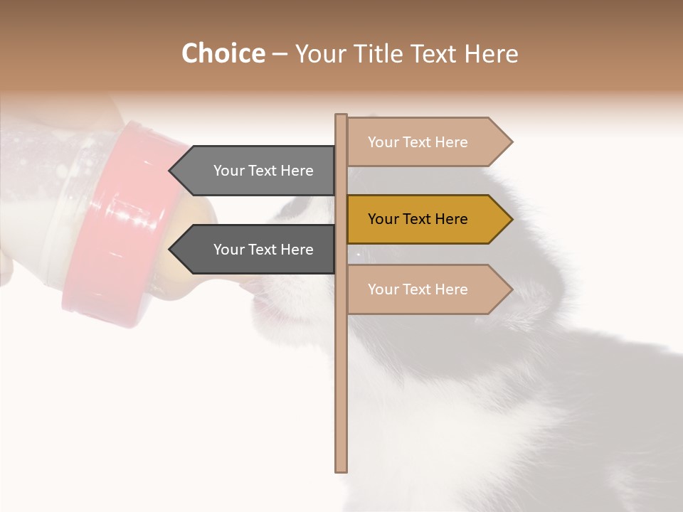 Food Milk Closeup PowerPoint Template