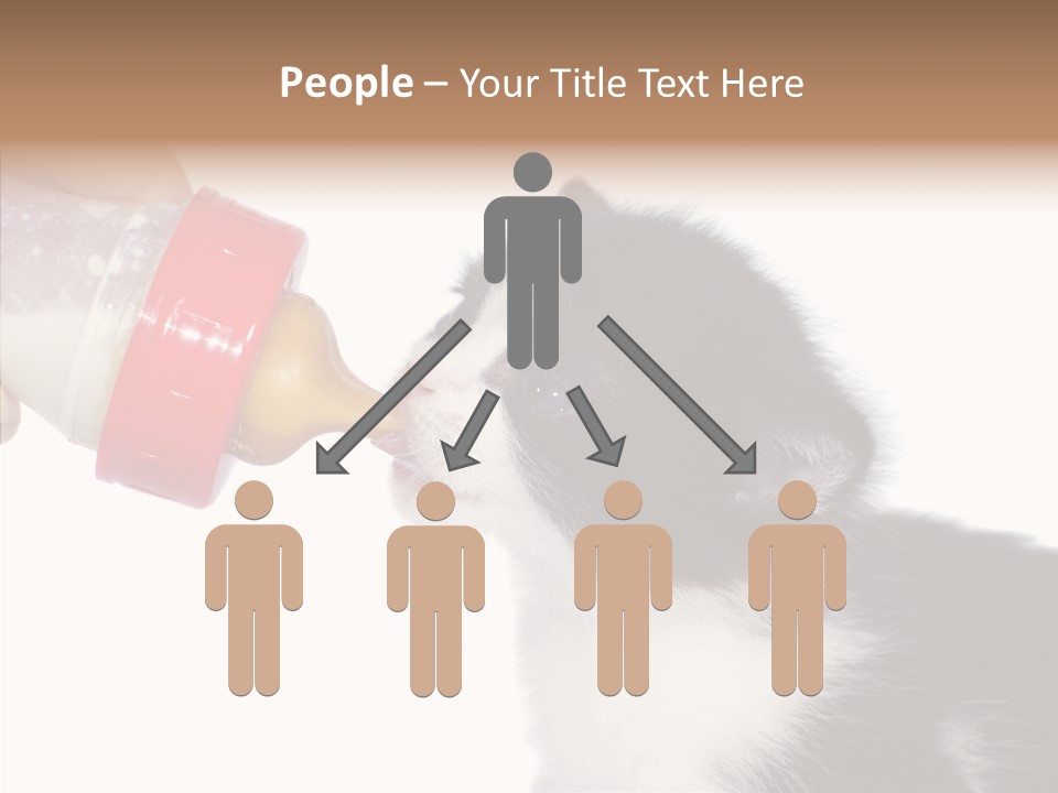 Food Milk Closeup PowerPoint Template