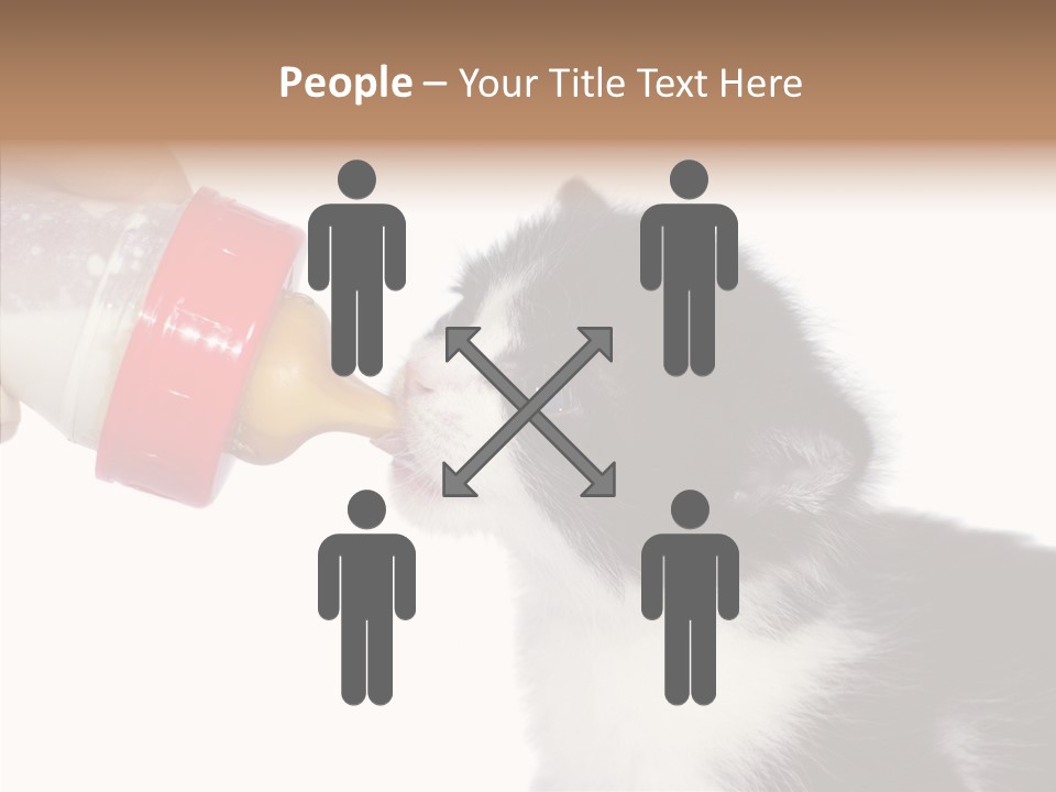 Food Milk Closeup PowerPoint Template