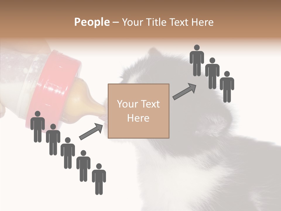 Food Milk Closeup PowerPoint Template