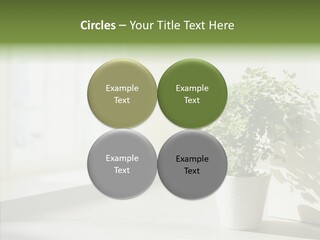 Humorou Figure Happy PowerPoint Template