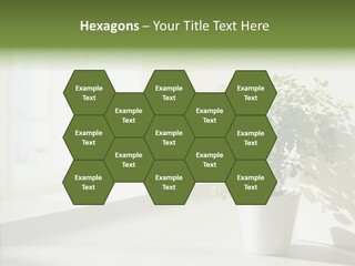 Humorou Figure Happy PowerPoint Template