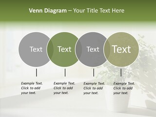 Humorou Figure Happy PowerPoint Template