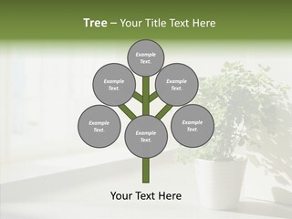 Humorou Figure Happy PowerPoint Template