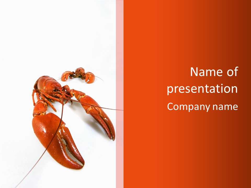 Crayfish Shellfish Idea PowerPoint Template