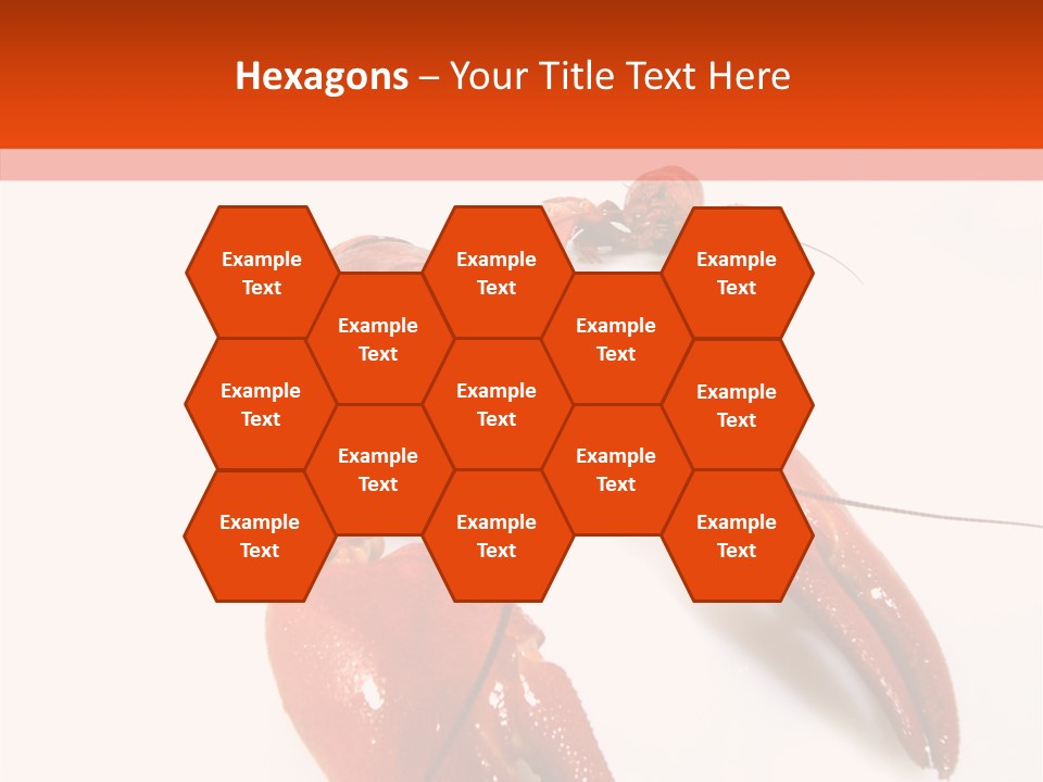 Crayfish Shellfish Idea PowerPoint Template