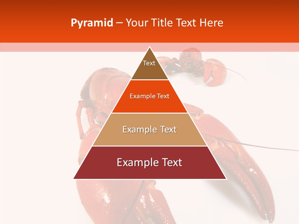 Crayfish Shellfish Idea PowerPoint Template