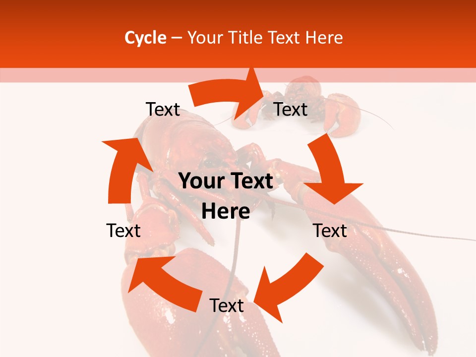 Crayfish Shellfish Idea PowerPoint Template