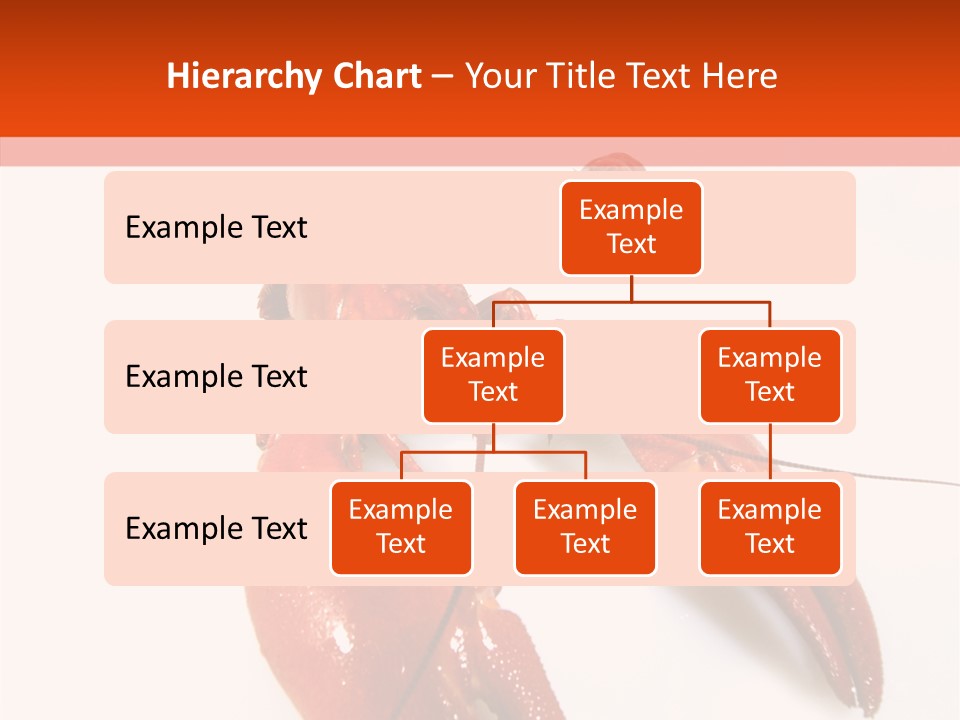 Crayfish Shellfish Idea PowerPoint Template