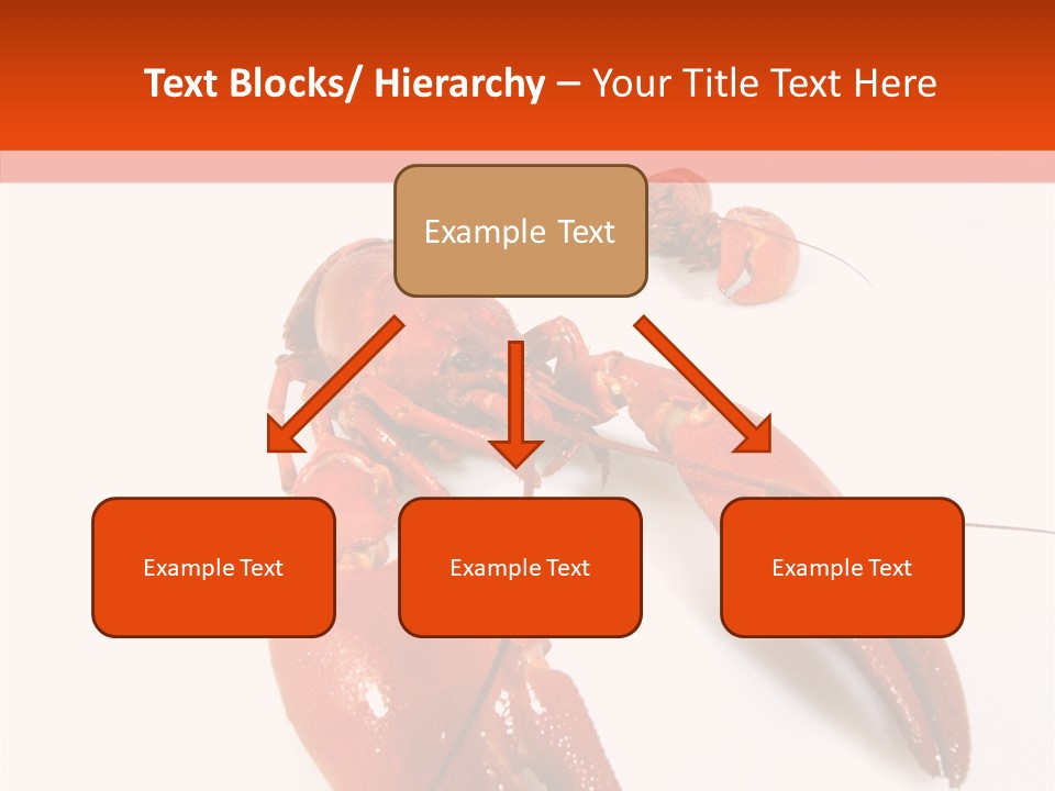 Crayfish Shellfish Idea PowerPoint Template