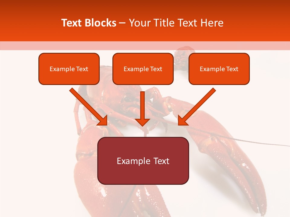 Crayfish Shellfish Idea PowerPoint Template