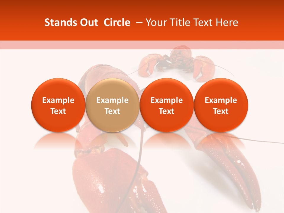Crayfish Shellfish Idea PowerPoint Template