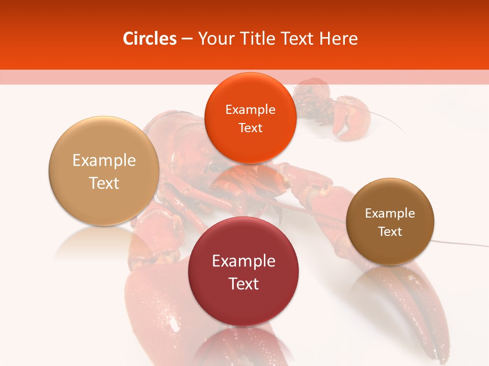 Crayfish Shellfish Idea PowerPoint Template