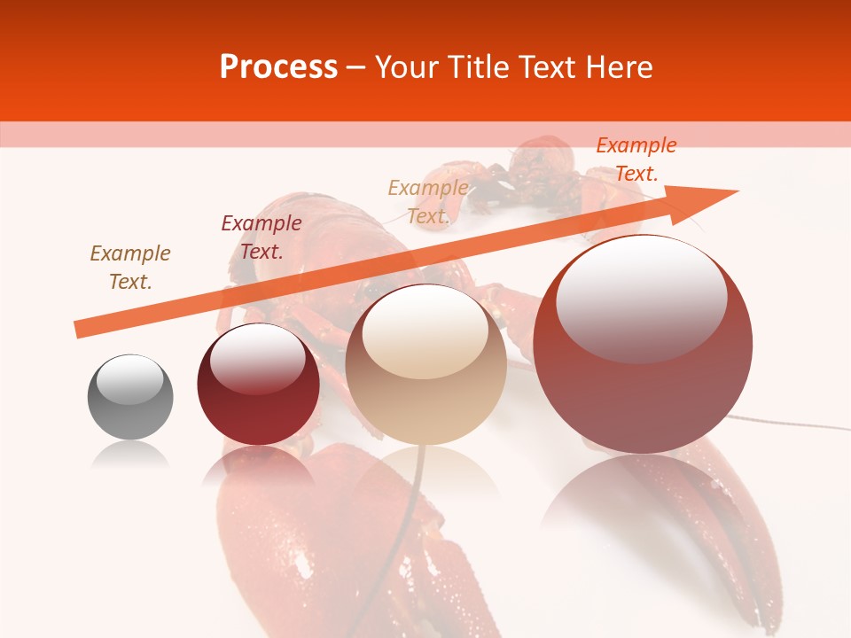 Crayfish Shellfish Idea PowerPoint Template