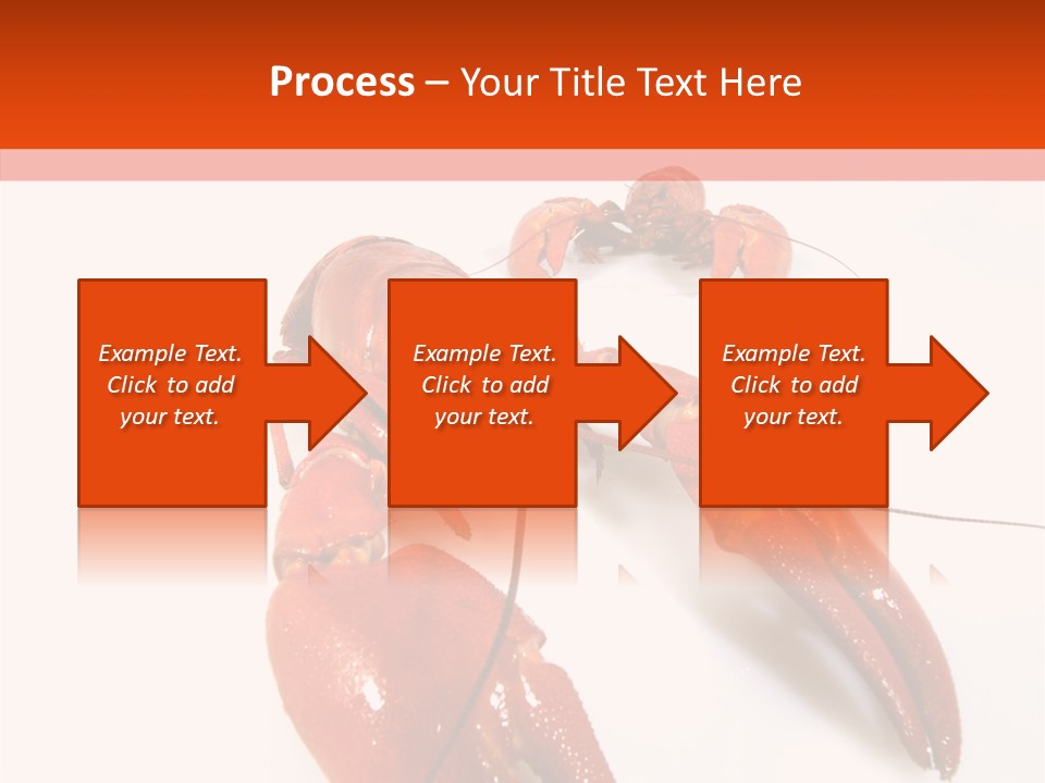 Crayfish Shellfish Idea PowerPoint Template
